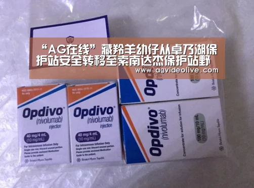 AG视讯