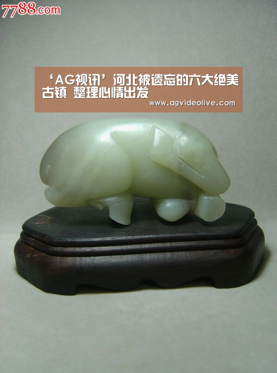 AG在线
