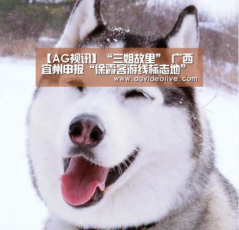 【AG视讯】“三姐故里” 广西宜州申报“徐霞客游线标志地”(图1) AG视讯
