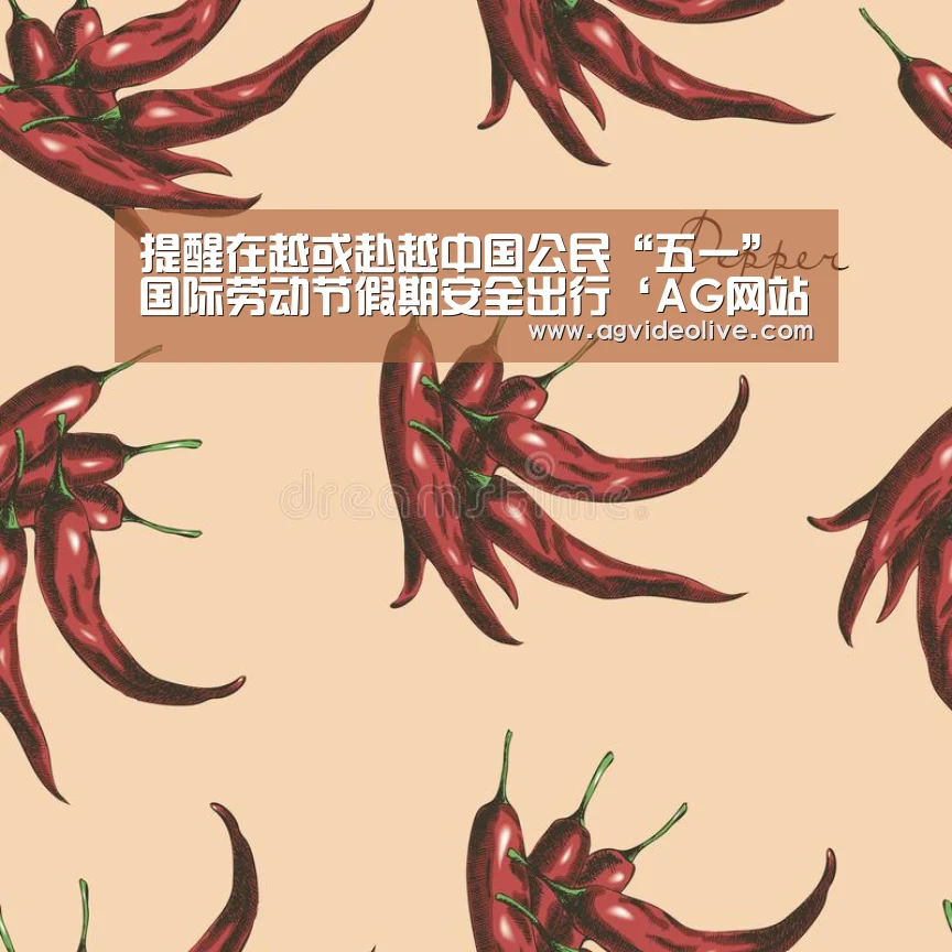 提醒在越或赴越中国公民“五一”国际劳动节假期安全出行‘AG网站’(图2) AG网站