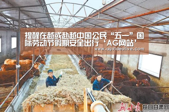 提醒在越或赴越中国公民“五一”国际劳动节假期安全出行‘AG网站’(图3) AG门户