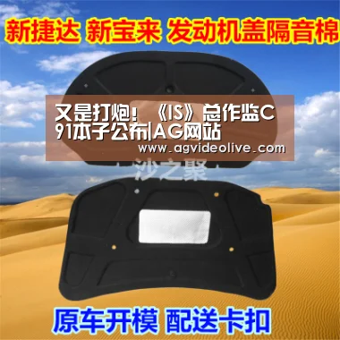 又是打炮!《IS》总作监C91本子公布|AG网站(图1) AG网站