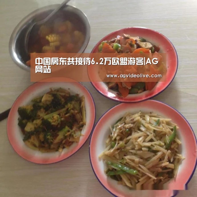 中国房东共接待6.2万欧盟游客|AG网站(图3) AG网站