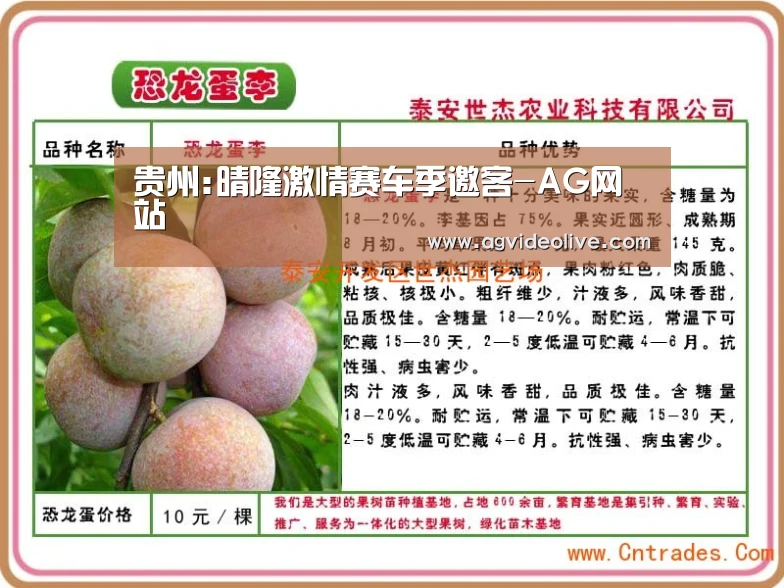 AG门户
