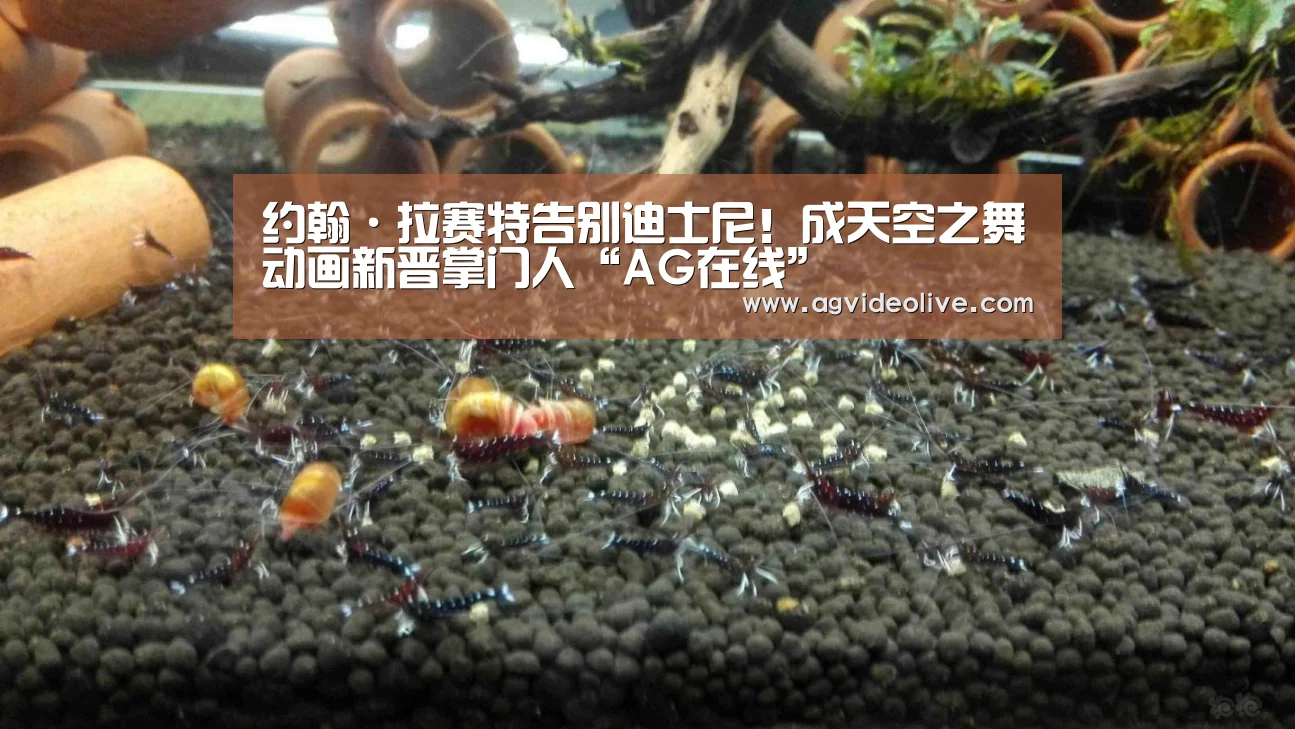 约翰·拉赛特告别迪士尼!成天空之舞动画新晋掌门人“AG在线”(图1) AG门户